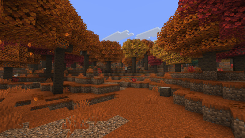 Dappled Forest.jpg