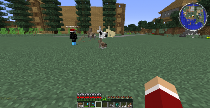 El encantador de conejos