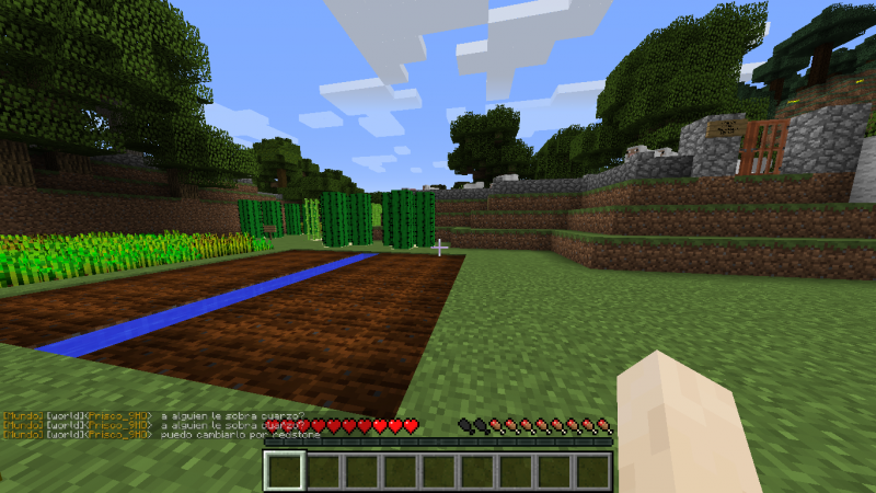 El campo de zanahorias pelado