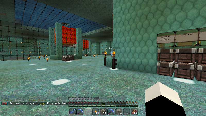 Esta es la respuesta al intentar borrar cualquier posible warp privado que tenga y que a lo mejor no recuerde