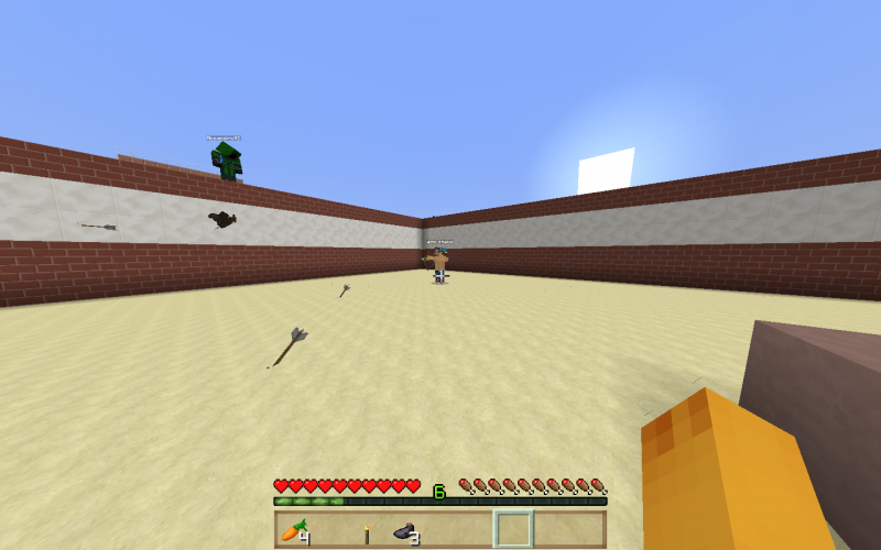 Aco jugando con sus murciélagos(habían 10 y solo queda 1 xD)