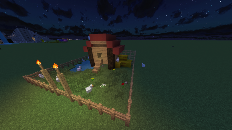 2º Modelo de corral.