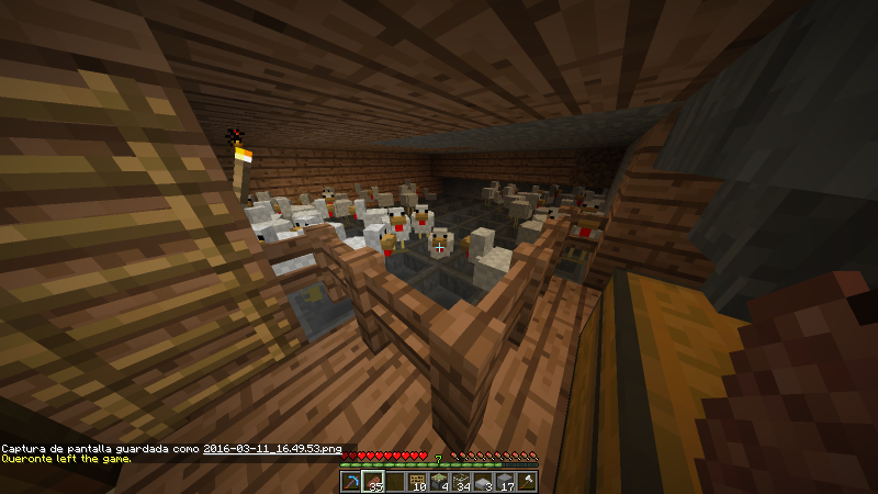 Granja de huevos de pollos :S