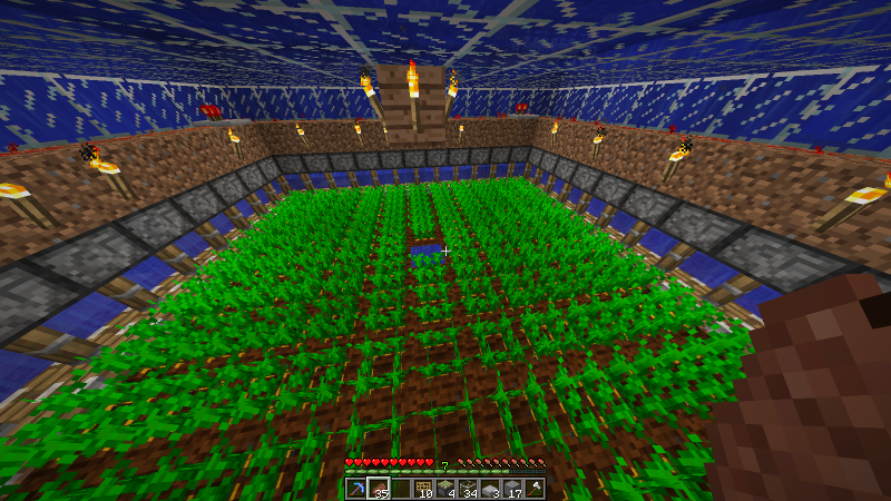 granja subacuática de zanahorias