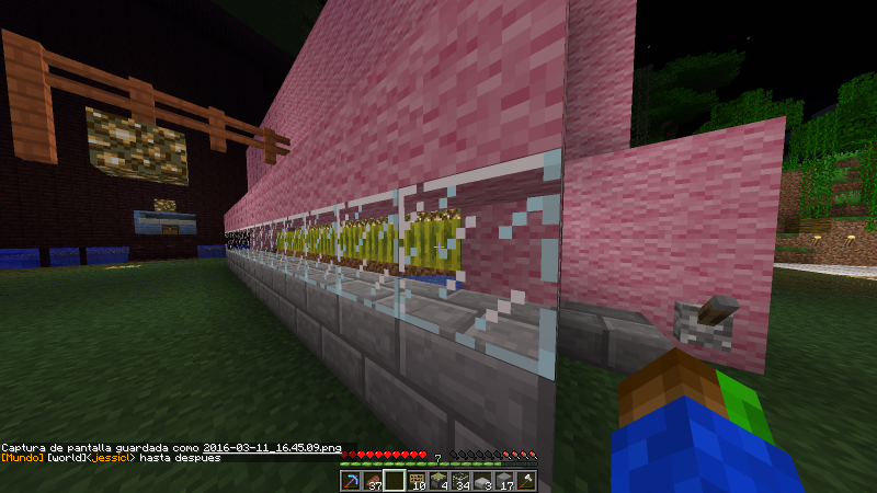 Granja semiautomática de sandías , solo hay que activar la palanca y listo