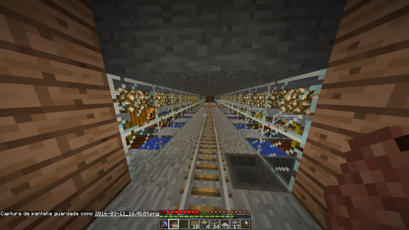 calabaza automáticas, se cortan y recojen solas