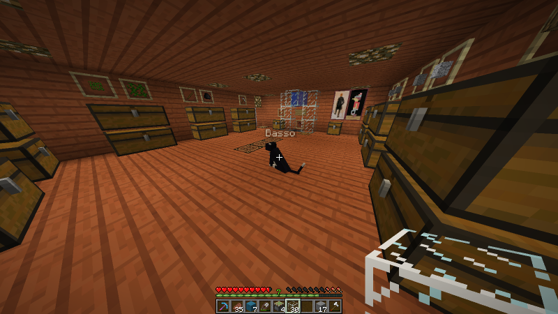 La primera planta del almacén, hecho por Redkero, con mi primer gato Basso, lo cojí gracias a Basswmn y me pidió que le puesiera ese nombre