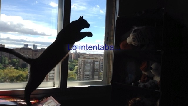 Willy pegando un salto... Se parece al logo de puma xD Pone "Lo intentaba..." porque la he sacado de un vídeo :3