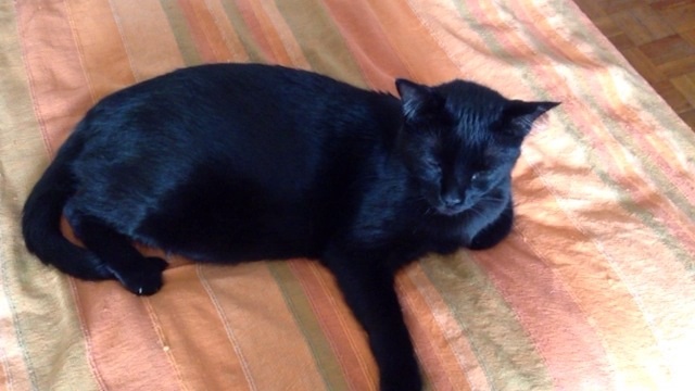 El viejo, cascarrabias y gordito Salvador <3