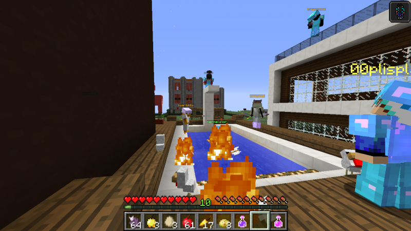 La barbacoa se hizo en el suelo. Pollo a la brasa.