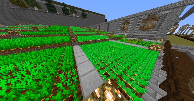 Huertecica Arcadiana viejas texturas