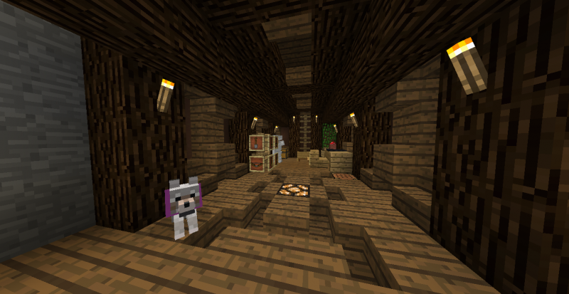 Ahí se reparó todo, y puse algunas antorchas para que no se generen más mobs.