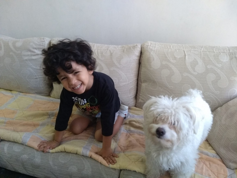 Cuando se enoja su pelo se pone amarillo :v okno