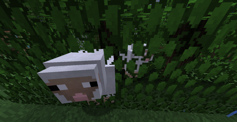Hay un tipo de oveja muy extraño... que da lana combinada con hojas, ¡Gracias Mojang!