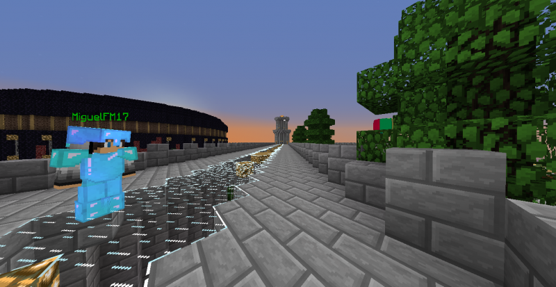 Recuerdos de cuando Miguel encontró la última pelota que le faltaba, (Evento de verano)