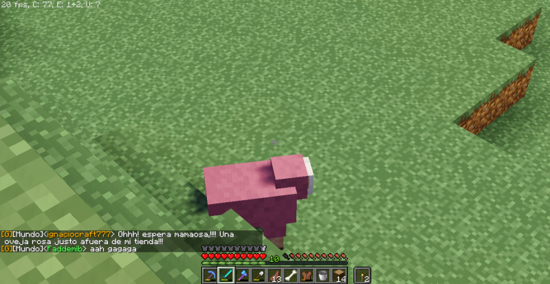 El momento en el que me emocioné, porque no habían ovejas en mi granja, y que mejor que ir afuera y verse... una oveja rosa!