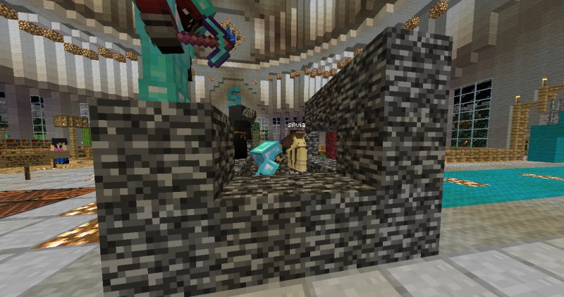 Aquí lx sigue con su trolleada y tambien Ignaciocraft777 se pone dentro para ser enjaulado xD