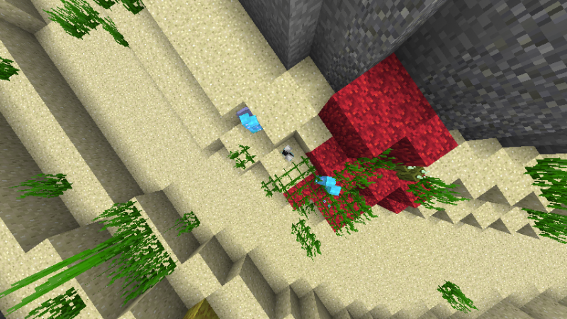 Pepinos... extraños y escalofriantes...