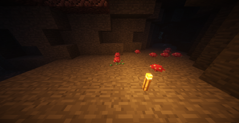 Si ven hongos en las cuevas... probablemente haya esmeraldas!