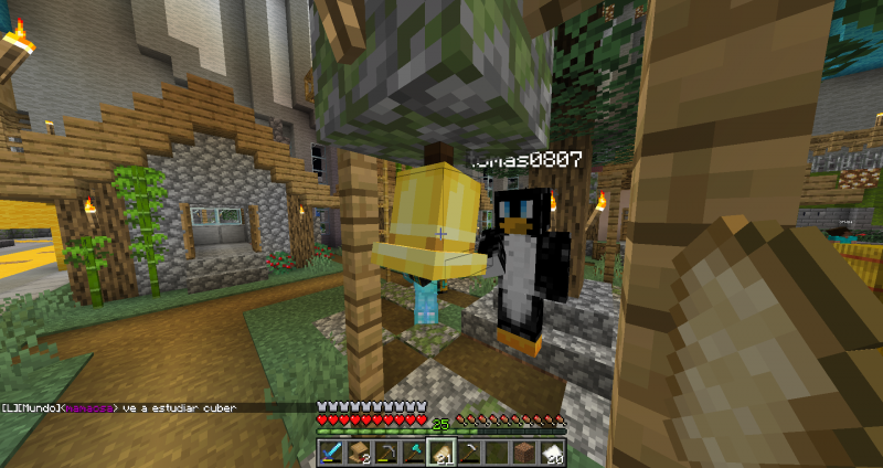 Tomas y yo tocando una campana en "El sector mas interactivo del servidor"