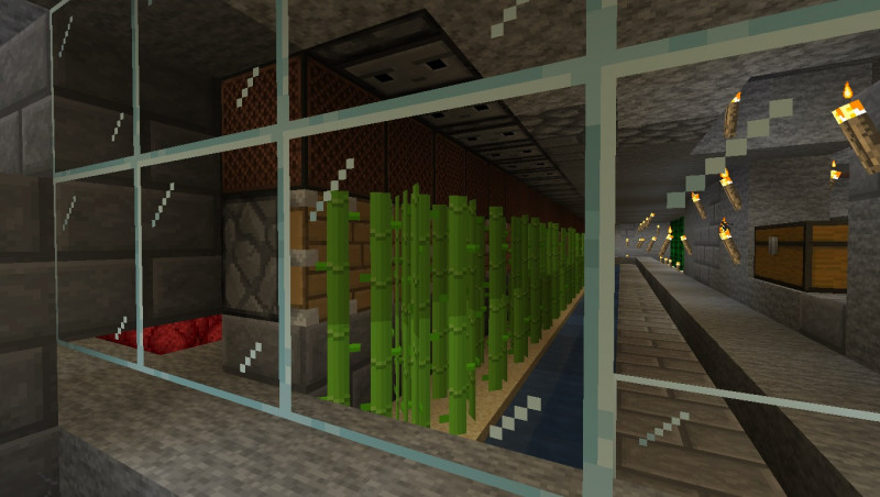 circuito observadores.jpg