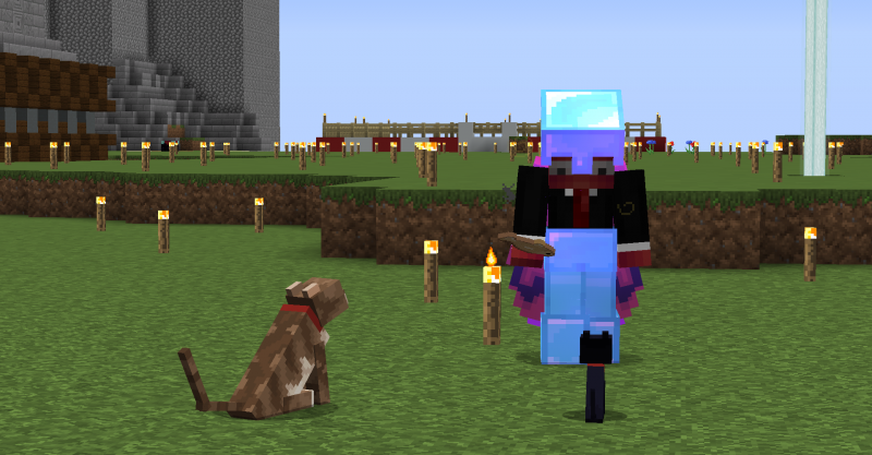 El domador de gatitos