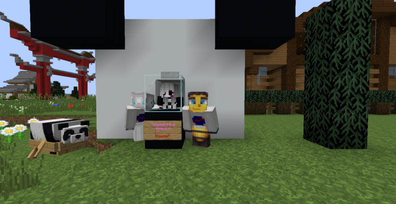 Esperando la entrega de MiRanda, la panda que menos anda.