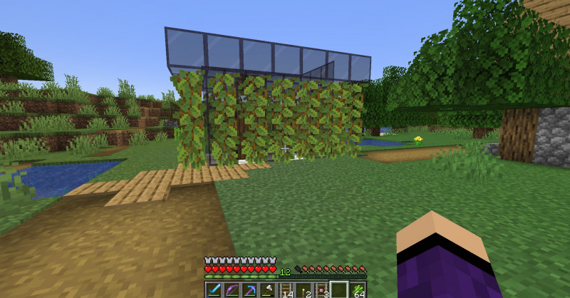 Que lindas son las bayas luminosas :D