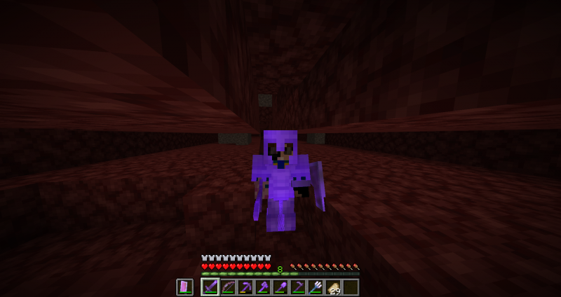 El día de la actualización de la 1.16.