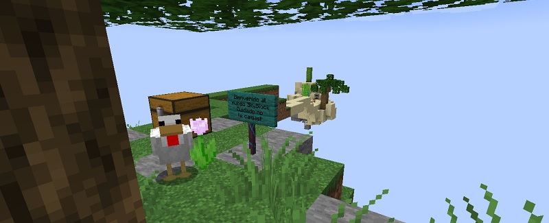 Un pato en SkyBlock