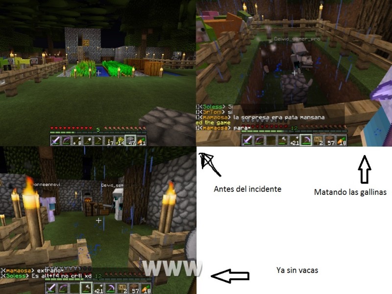 photovisi-download.jpg