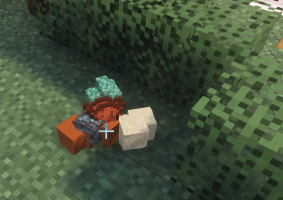 reporte 5.png