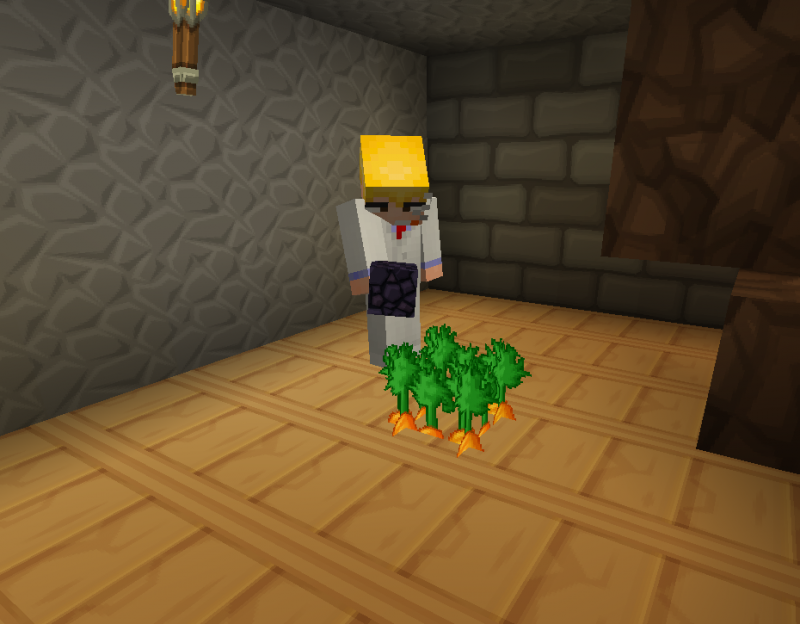 zanahorias.png