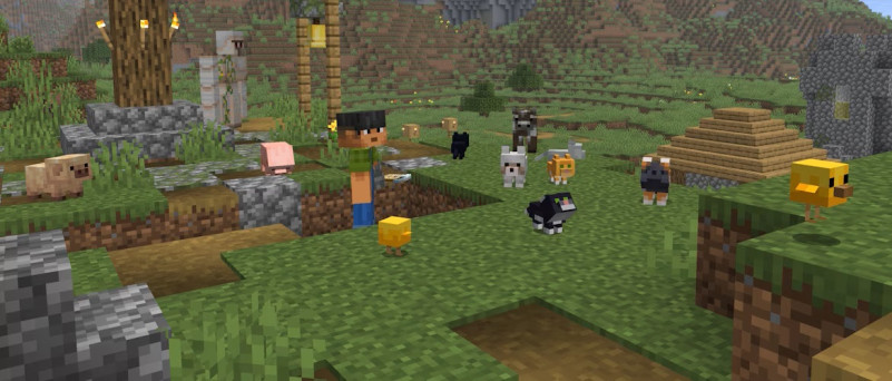 minecraft snapshot 26.2.jpg