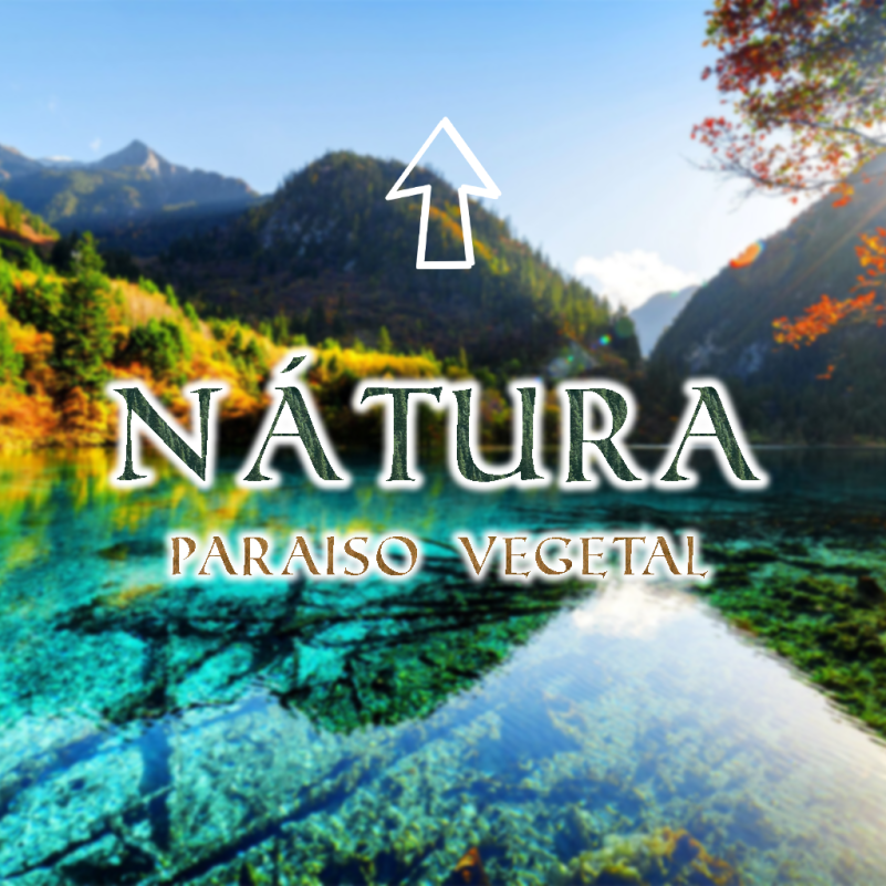 NATURA cf.png