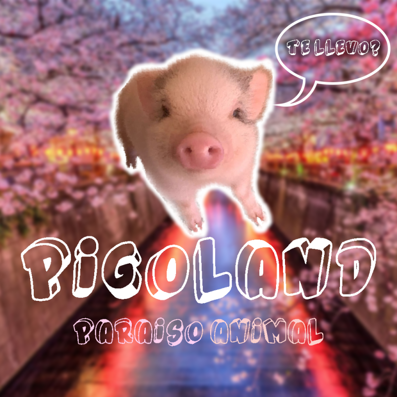 Pigolandd.png