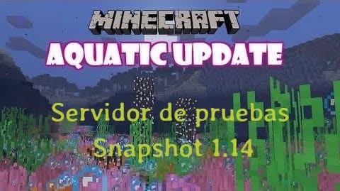 Nuevo servidor de pruebas versión 1.13/1.14